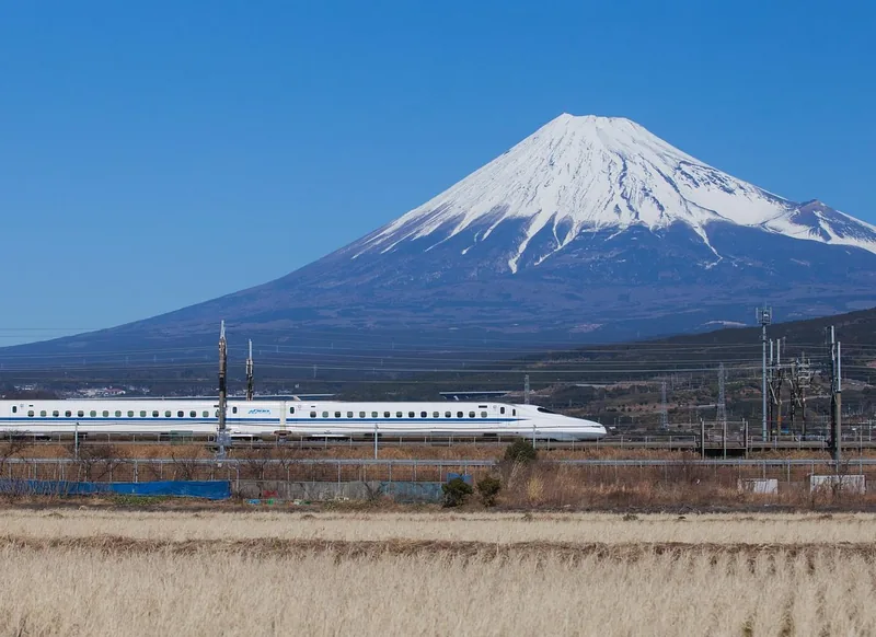 Fuji & Hakone Tagesausflug, Zug oder Bus zurück