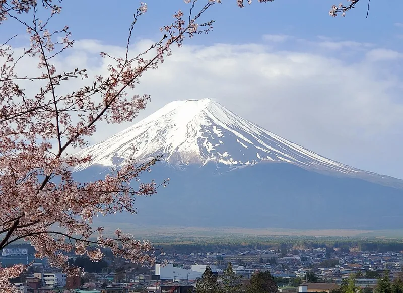 Private Fuji-Seen & Hakone Tour, Shinkansen zurück